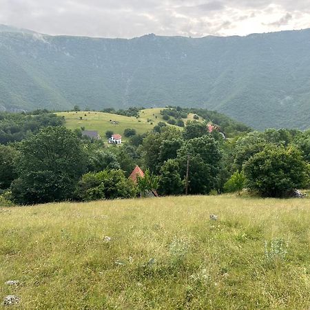 Vignjista Ξενοδοχείο Plužine Εξωτερικό φωτογραφία